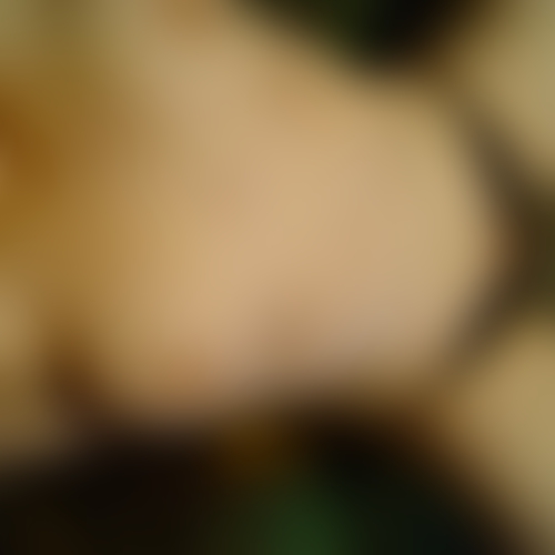 LadyRosa Escort undefined