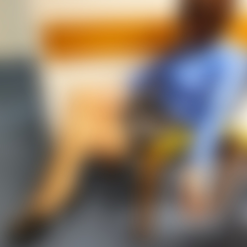 Tina-Lina-Jay Escort undefined